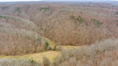 RARE HUNTING OPPORTUNITY: 383.163 +/- Acre Paradise - image 17