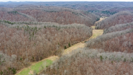 RARE HUNTING OPPORTUNITY: 383.163 +/- Acre Paradise - image 33