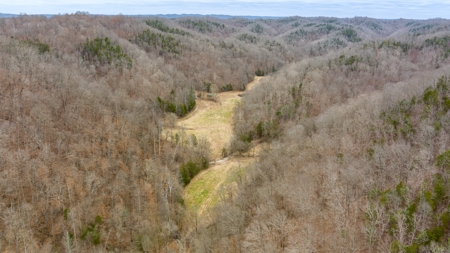 RARE HUNTING OPPORTUNITY: 383.163 +/- Acre Paradise - image 10