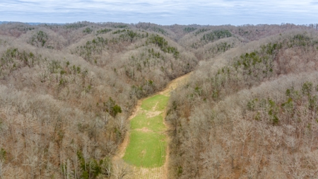 RARE HUNTING OPPORTUNITY: 383.163 +/- Acre Paradise - image 8