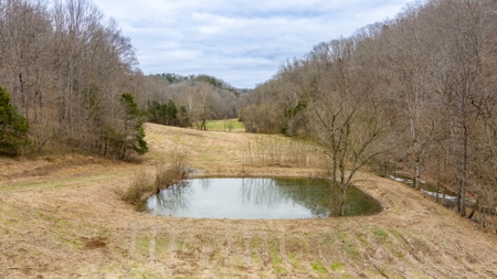 RARE HUNTING OPPORTUNITY: 383.163 +/- Acre Paradise - image 30