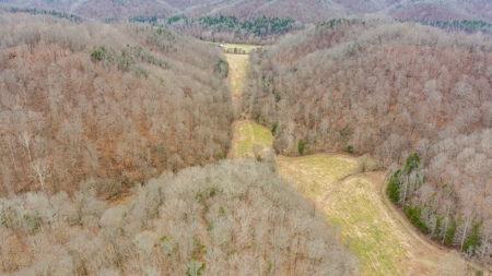 RARE HUNTING OPPORTUNITY: 383.163 +/- Acre Paradise - image 20