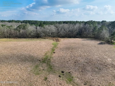 160 Acres in Lincoln County MS Near Brookhaven & I-55 - image 14