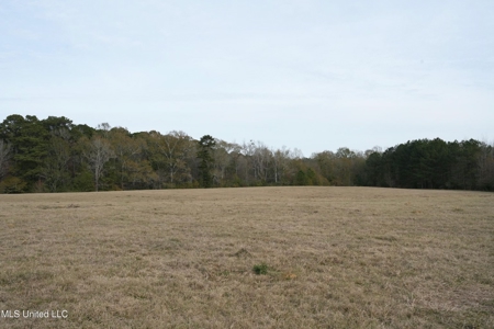 160 Acres in Lincoln County MS Near Brookhaven & I-55 - image 30