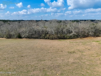 160 Acres in Lincoln County MS Near Brookhaven & I-55 - image 25