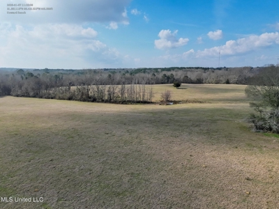 160 Acres in Lincoln County MS Near Brookhaven & I-55 - image 21