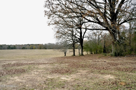 160 Acres in Lincoln County MS Near Brookhaven & I-55 - image 3