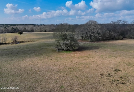 160 Acres in Lincoln County MS Near Brookhaven & I-55 - image 20