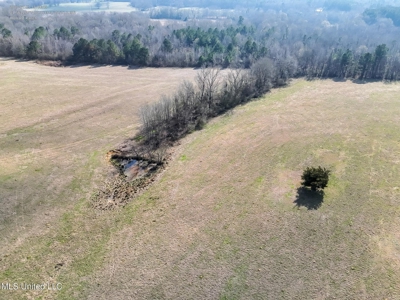 160 Acres in Lincoln County MS Near Brookhaven & I-55 - image 22