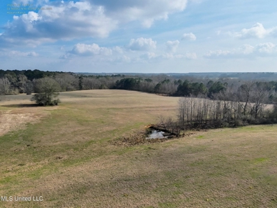 160 Acres in Lincoln County MS Near Brookhaven & I-55 - image 2
