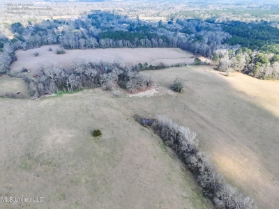 160 Acres in Lincoln County MS Near Brookhaven & I-55 - image 10