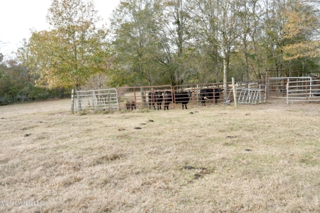 160 Acres in Lincoln County MS Near Brookhaven & I-55 - image 4