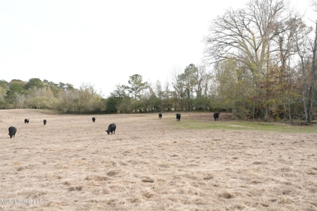 160 Acres in Lincoln County MS Near Brookhaven & I-55 - image 31