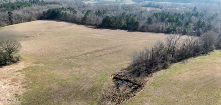 160 Acres in Lincoln County MS Near Brookhaven & I-55 - image 37