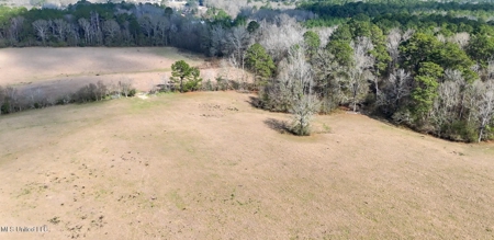 160 Acres in Lincoln County MS Near Brookhaven & I-55 - image 35
