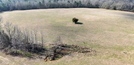 160 Acres in Lincoln County MS Near Brookhaven & I-55 - image 8