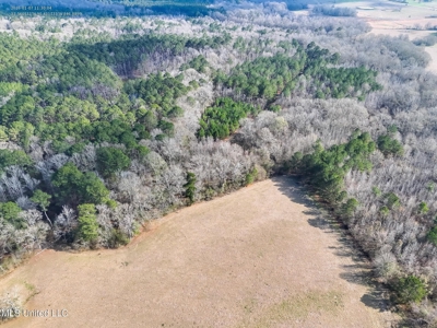 160 Acres in Lincoln County MS Near Brookhaven & I-55 - image 13