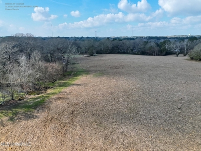160 Acres in Lincoln County MS Near Brookhaven & I-55 - image 17