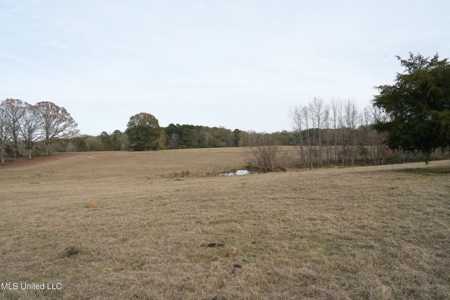 160 Acres in Lincoln County MS Near Brookhaven & I-55 - image 28