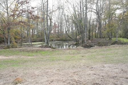 160 Acres in Lincoln County MS Near Brookhaven & I-55 - image 7