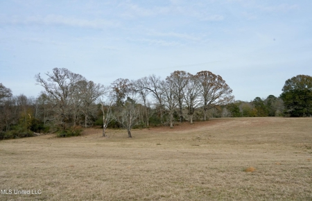 160 Acres in Lincoln County MS Near Brookhaven & I-55 - image 29