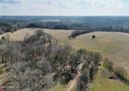 160 Acres in Lincoln County MS Near Brookhaven & I-55 - image 9