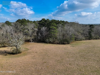 160 Acres in Lincoln County MS Near Brookhaven & I-55 - image 18