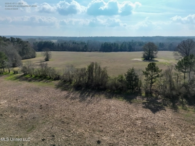 160 Acres in Lincoln County MS Near Brookhaven & I-55 - image 15