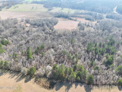 160 Acres in Lincoln County MS Near Brookhaven & I-55 - image 12