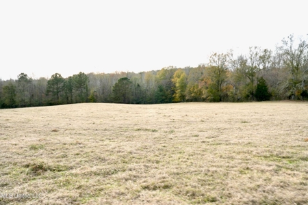 160 Acres in Lincoln County MS Near Brookhaven & I-55 - image 27