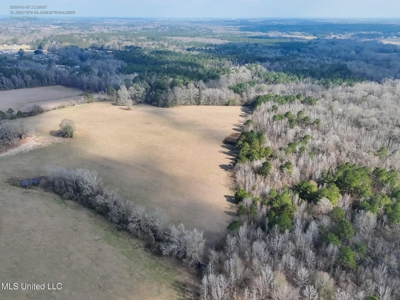 160 Acres in Lincoln County MS Near Brookhaven & I-55 - image 1