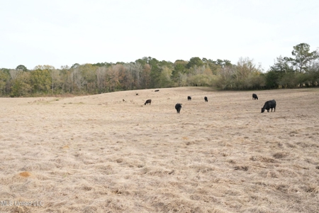 160 Acres in Lincoln County MS Near Brookhaven & I-55 - image 32