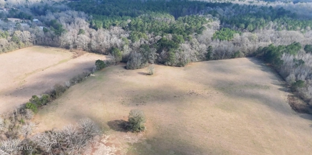 160 Acres in Lincoln County MS Near Brookhaven & I-55 - image 33