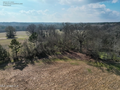 160 Acres in Lincoln County MS Near Brookhaven & I-55 - image 16