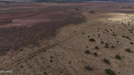 Nearly 40 Acres of Off-Grid Land in Apache County Arizona - image 5