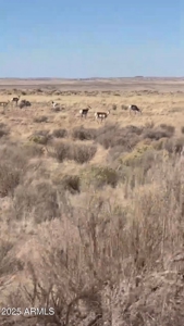 Nearly 40 Acres of Off-Grid Land in Apache County Arizona - image 10