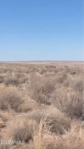 Nearly 40 Acres of Off-Grid Land in Apache County Arizona - image 9