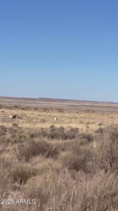 Nearly 40 Acres of Off-Grid Land in Apache County Arizona - image 8