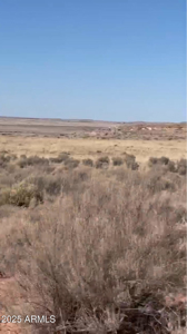 Nearly 40 Acres of Off-Grid Land in Apache County Arizona - image 12