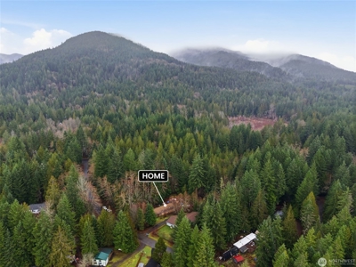 Cozy Log Home Near Lake Cushman in Mason County - image 26