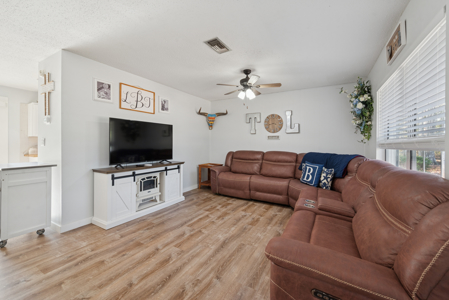 Chiefland, FL - Charming, Well Maintained 2/2 on One Acre - image 15