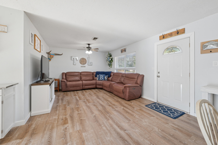 Chiefland, FL - Charming, Well Maintained 2/2 on One Acre - image 16