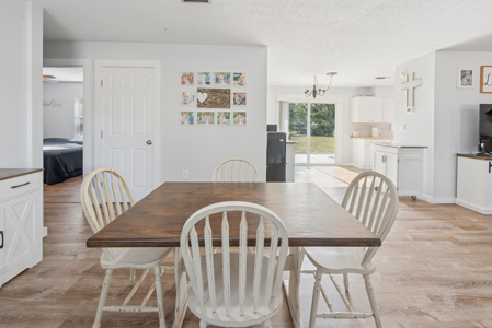 Chiefland, FL - Charming, Well Maintained 2/2 on One Acre - image 12