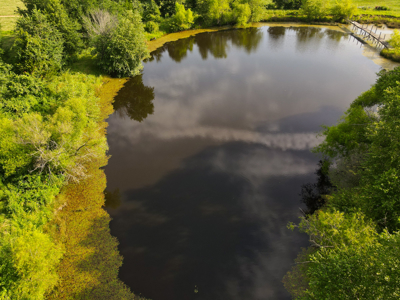 Home With 140± Acres For Sale El Dorado Springs Mo - image 39