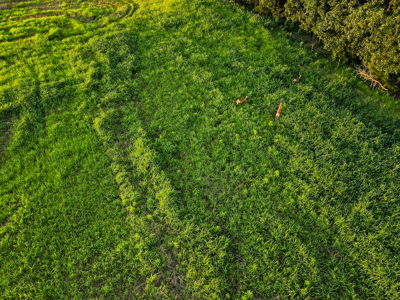 Home With 140± Acres For Sale El Dorado Springs Mo - image 34