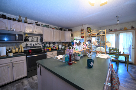 Home With 140± Acres For Sale El Dorado Springs Mo - image 16