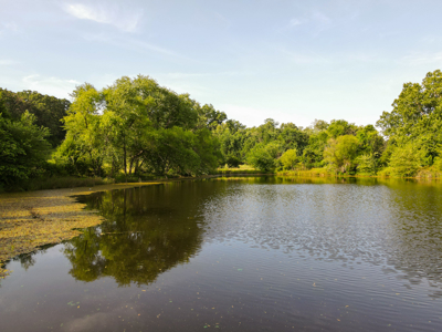 Home With 140± Acres For Sale El Dorado Springs Mo - image 38