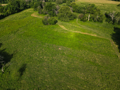 Home With 140± Acres For Sale El Dorado Springs Mo - image 41