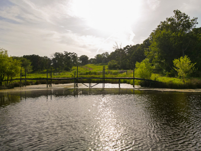 Home With 140± Acres For Sale El Dorado Springs Mo - image 33