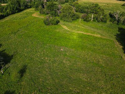 Home With 140± Acres For Sale El Dorado Springs Mo - image 42